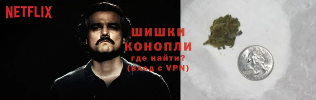 стафф Осташков