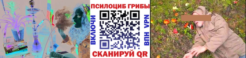 Псилоцибиновые грибы Psilocybine cubensis Купить Чекалин