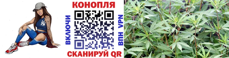 Купить закладки  Чекалин  Марихуана LSD WEED 